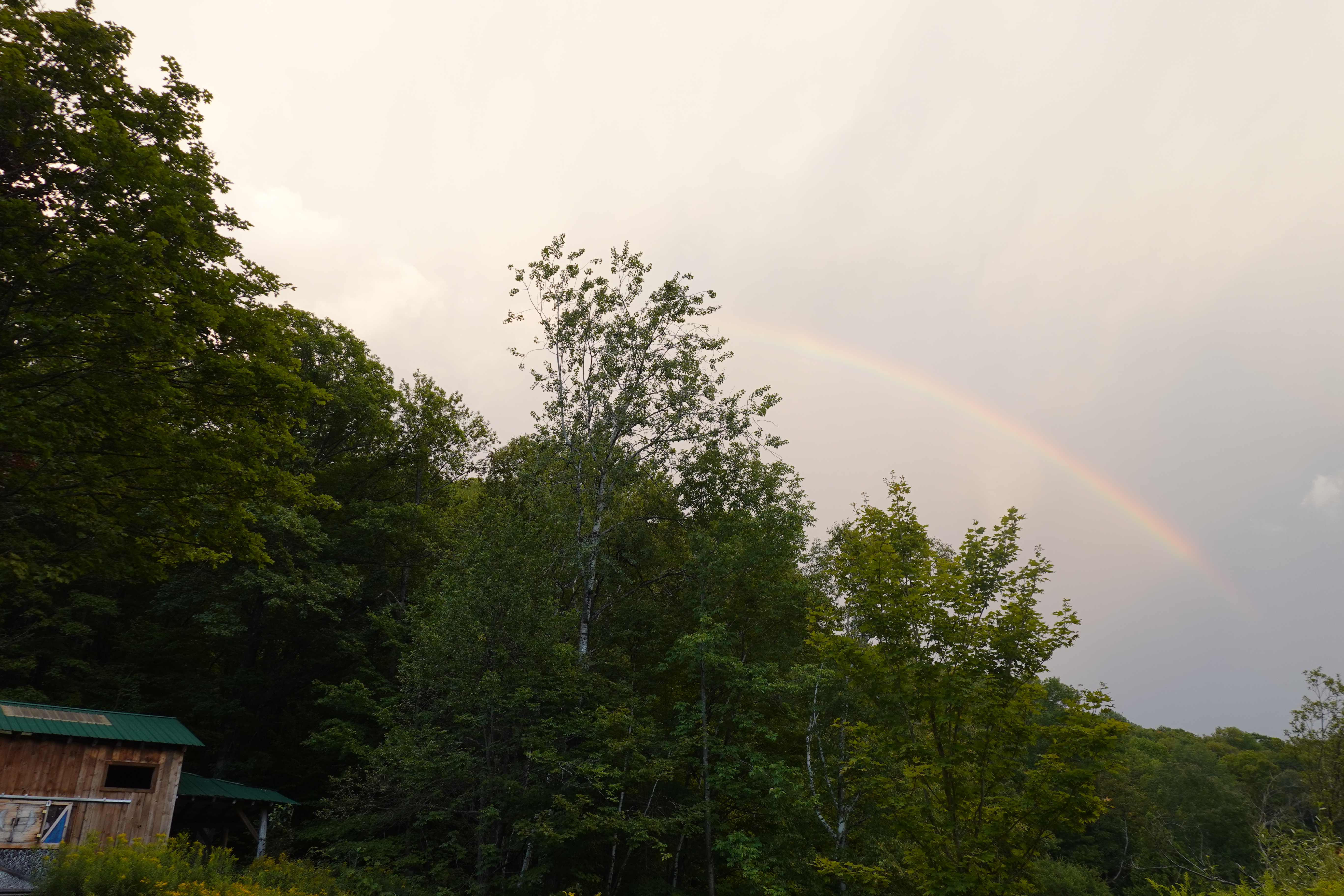 Rainbow over Harvard