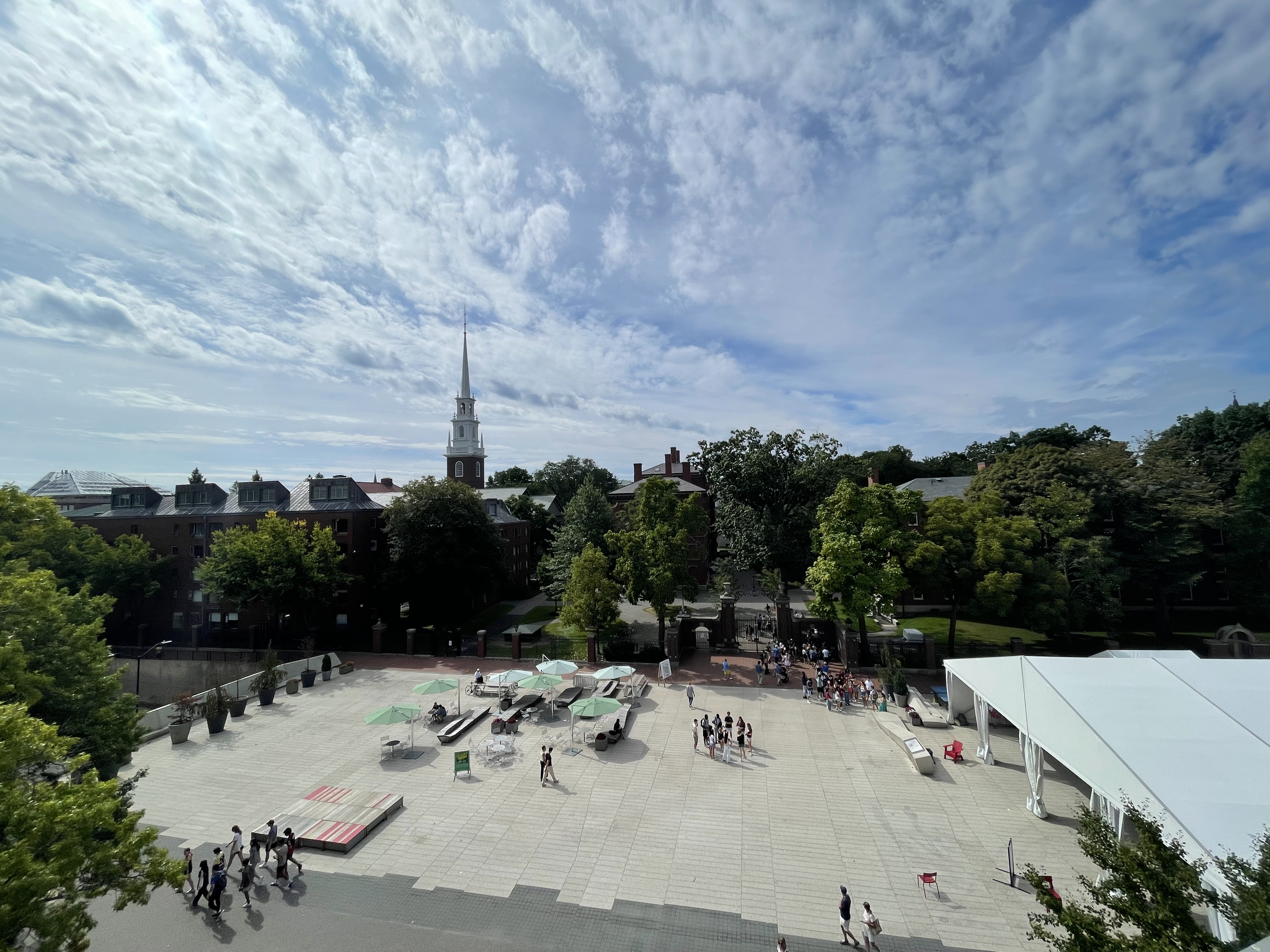 Harvard Yard viewed from the Science Center.